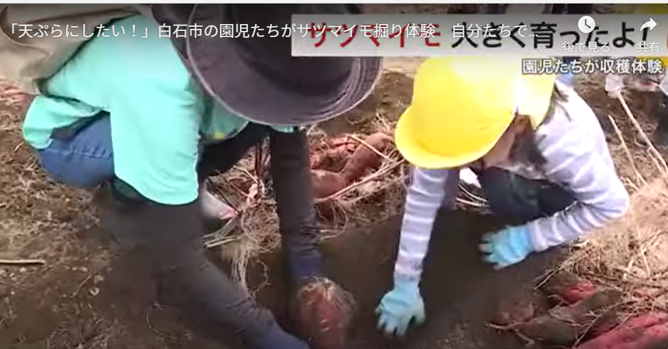 芋ほり・2025秋